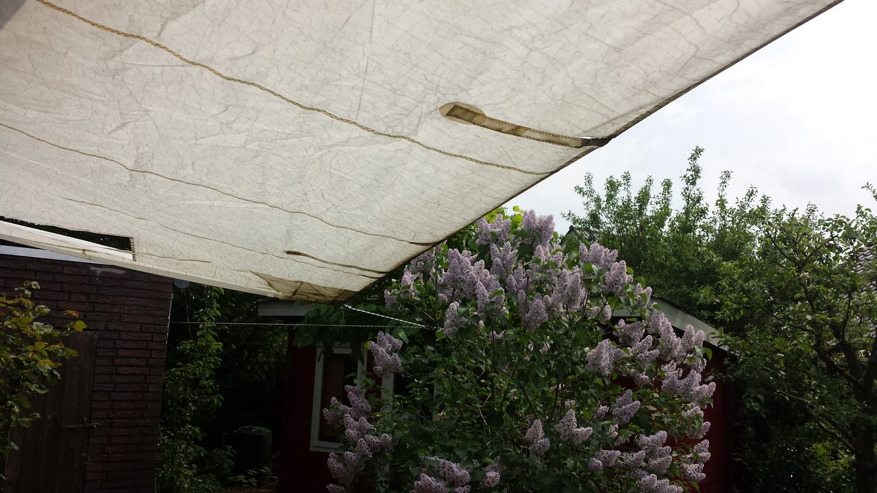 20180510_122133.jpg