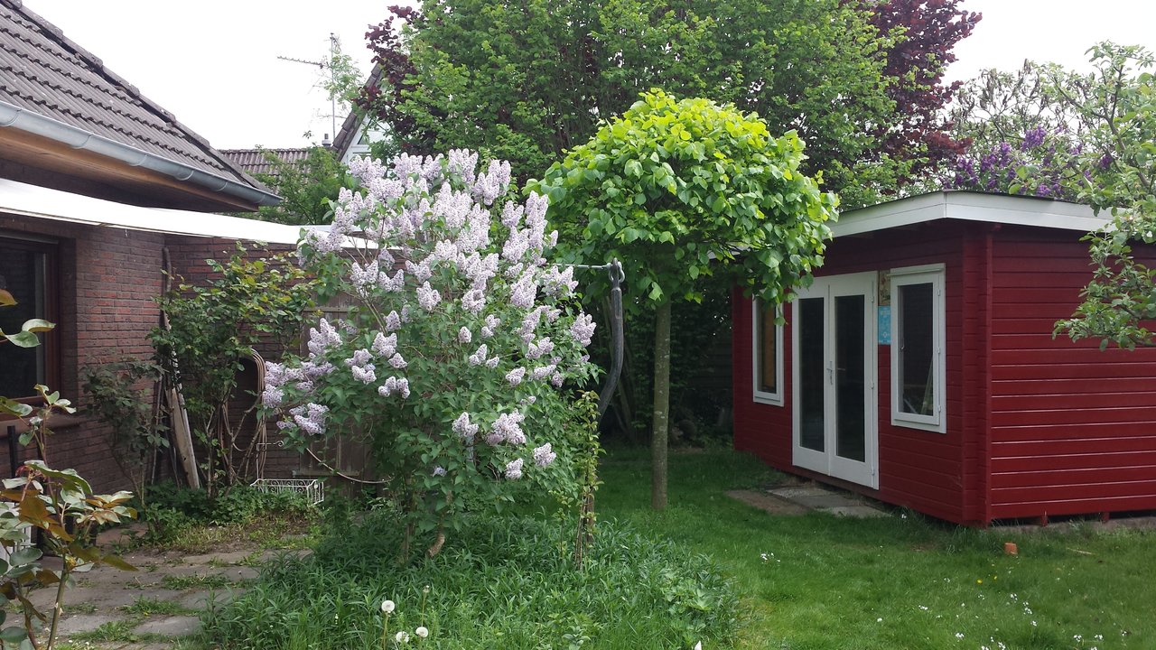 20180510_122156.jpg