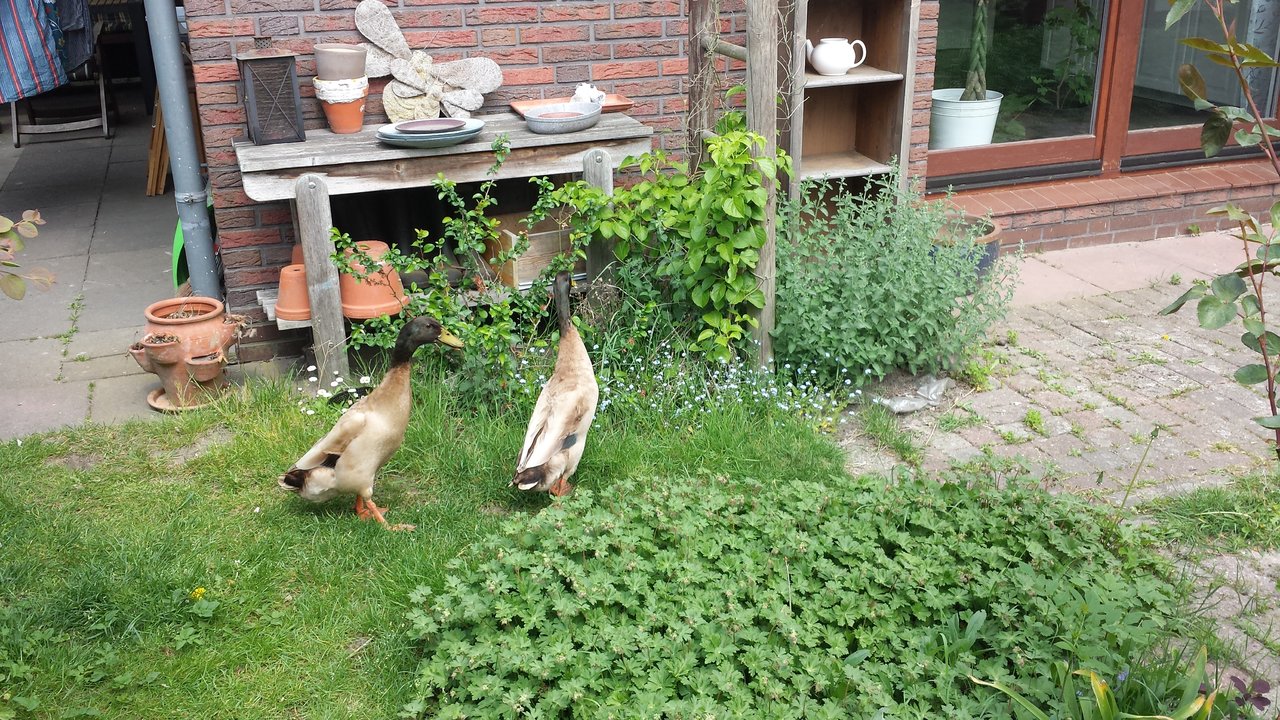 20180510_122200.jpg