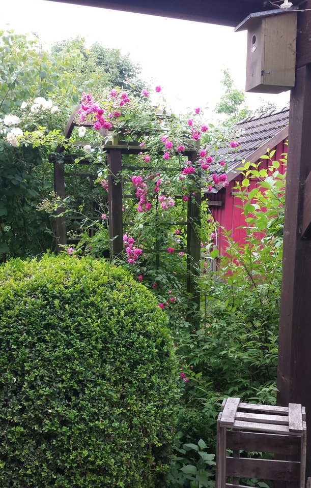 20180609_090156.jpg