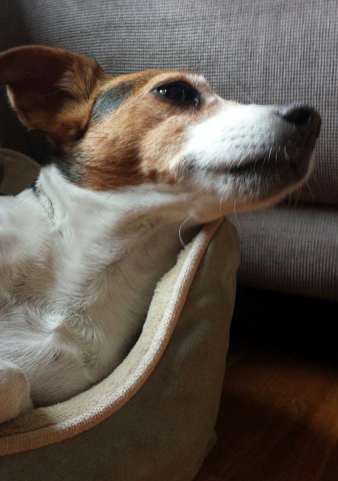 20180619_062757.jpg