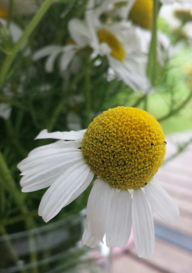 20180624_082215.jpg