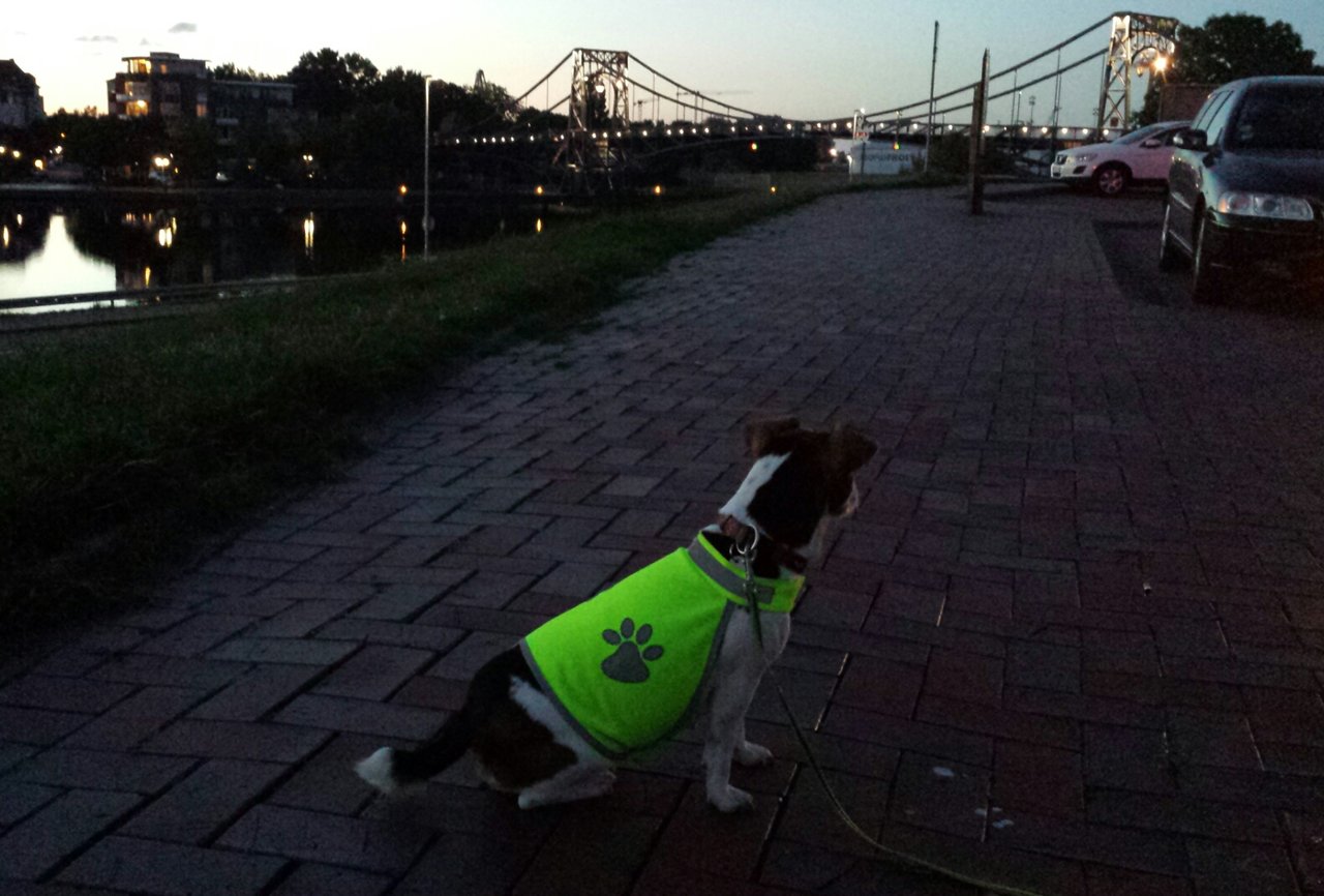 20180715_005510.jpg