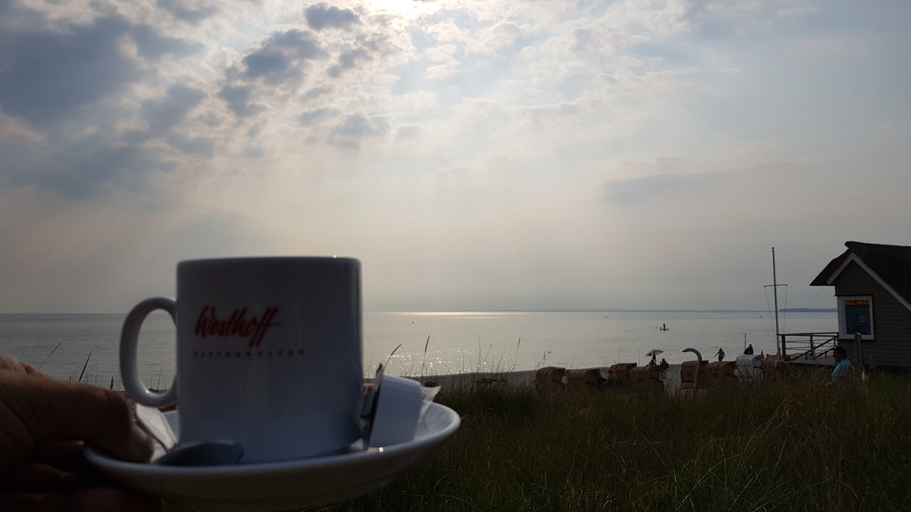20180722_084127.jpg