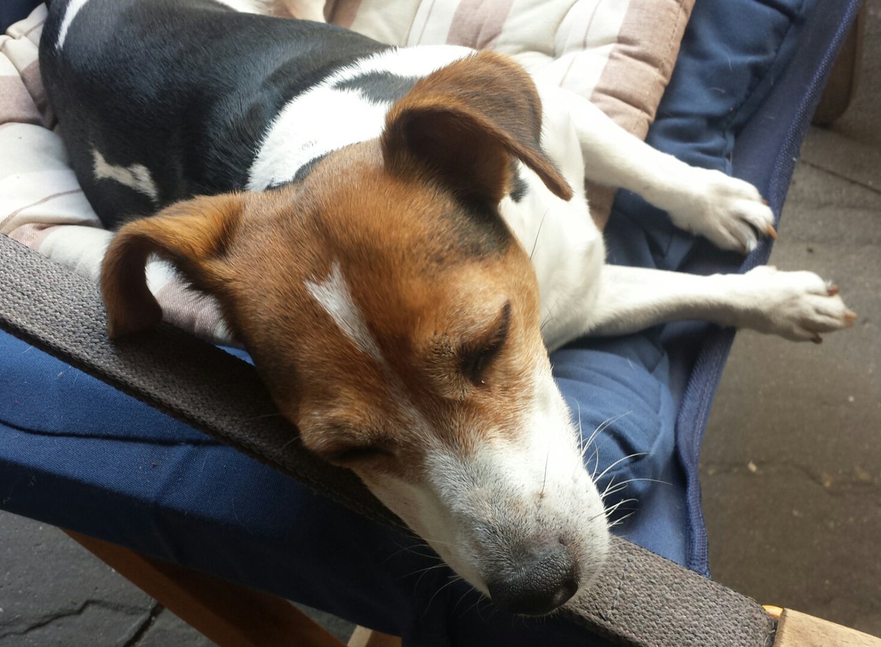 20180723_114526.jpg