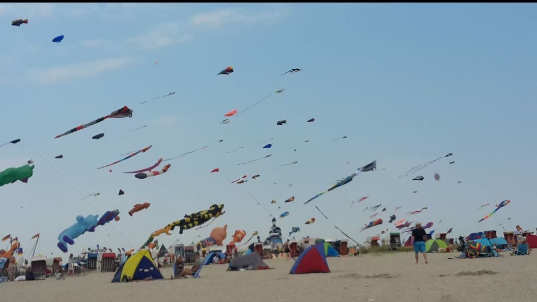 20180724_091542.png