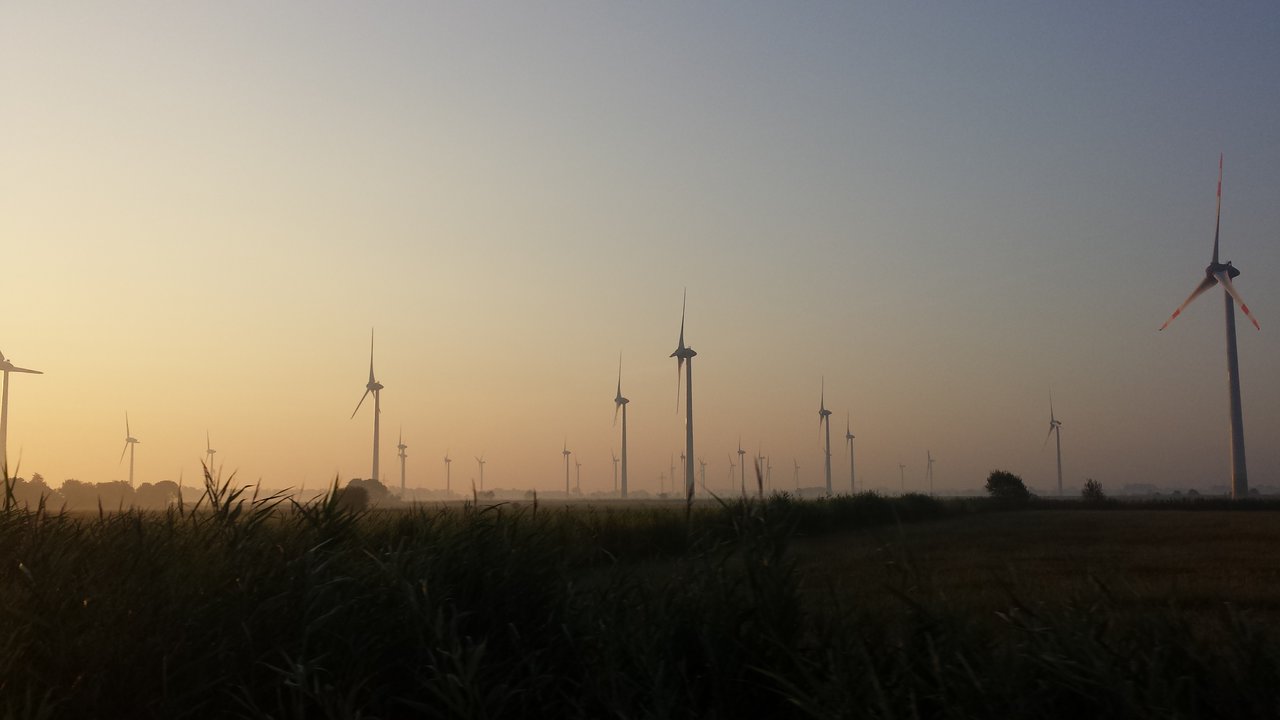 20180725_061655.jpg