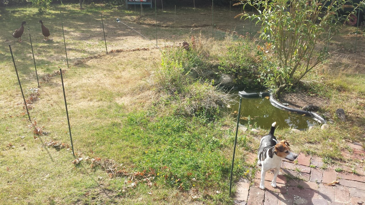 20180810_164315.jpg