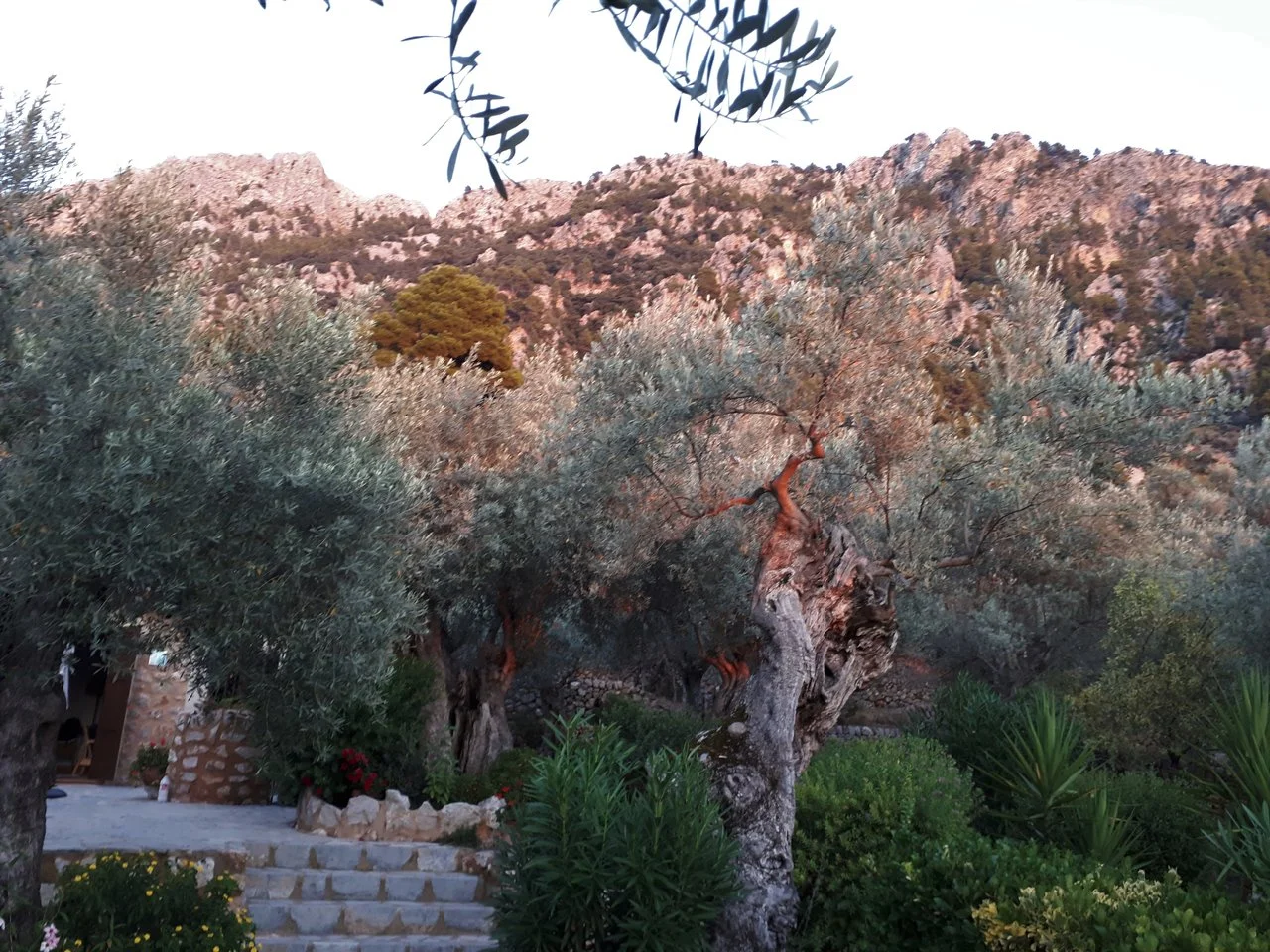 20180818_203450 (2).webp