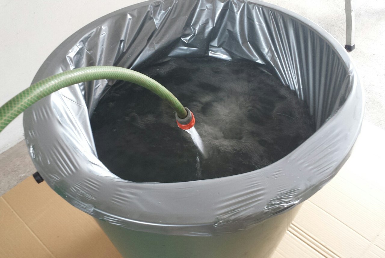20180823_154046.jpg