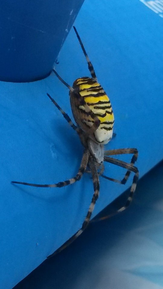 20180827_122904.jpg