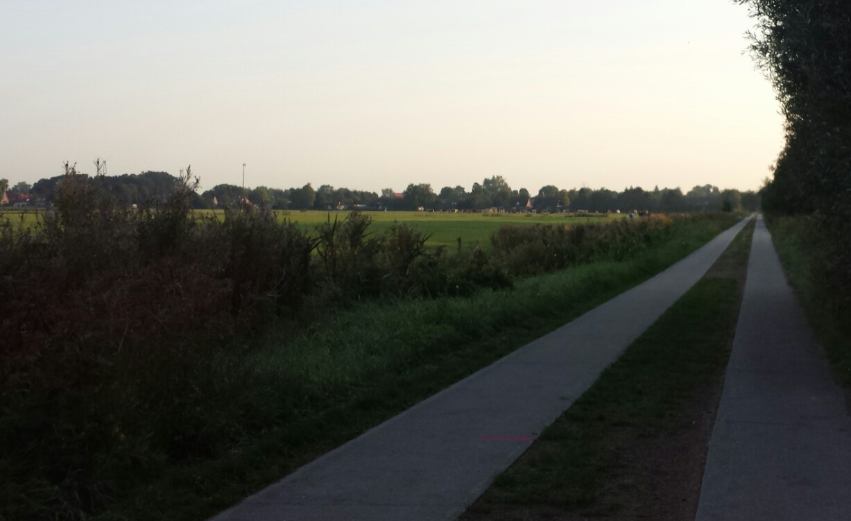 20180829_075408.jpg