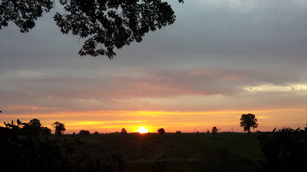 20180921_071521.jpg
