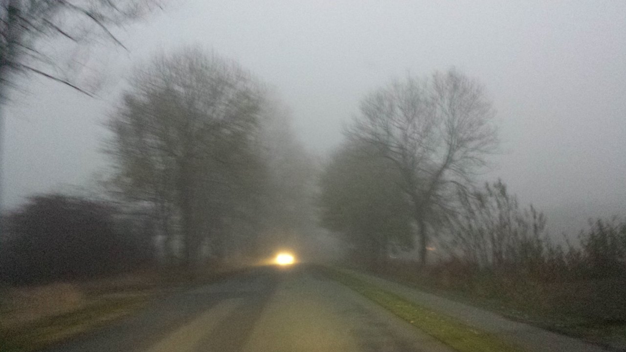 20181106_071420.jpg
