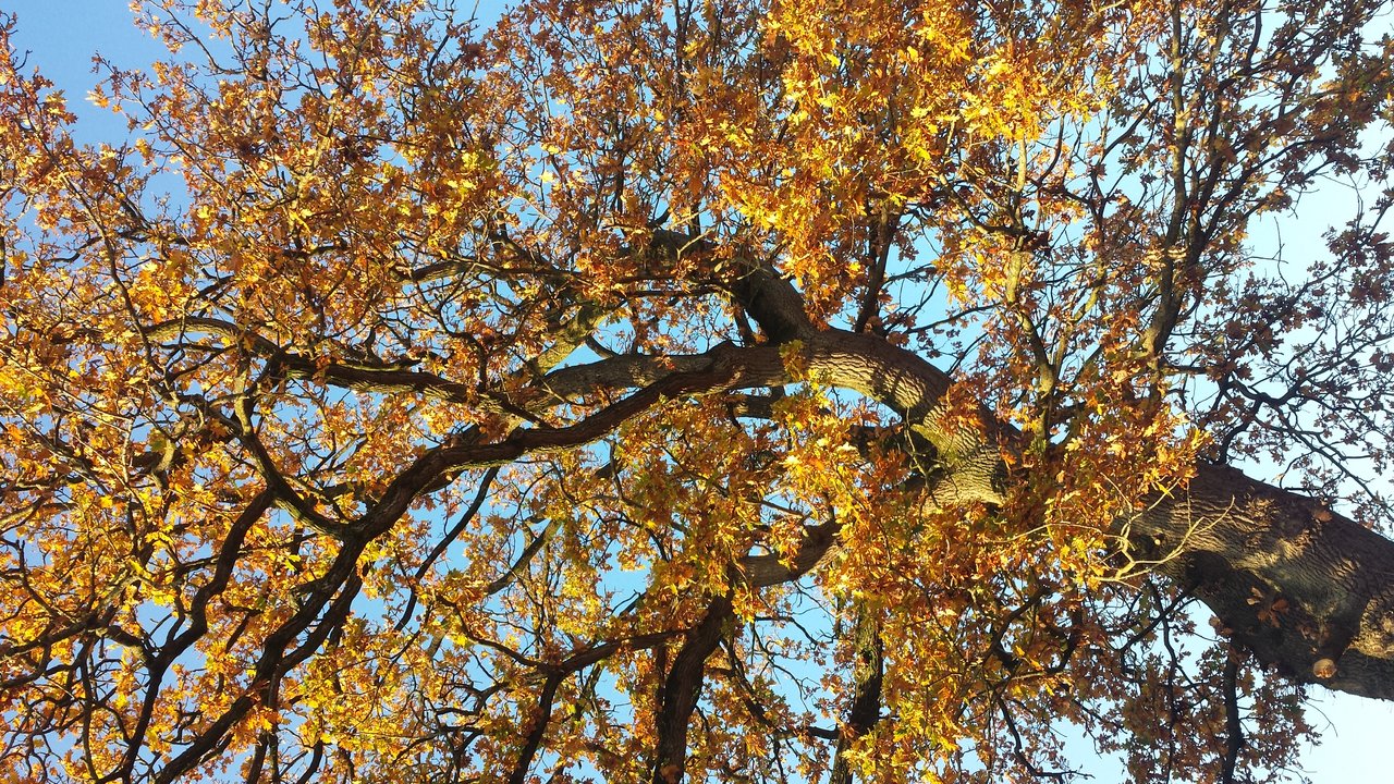 20181117_144747.jpg