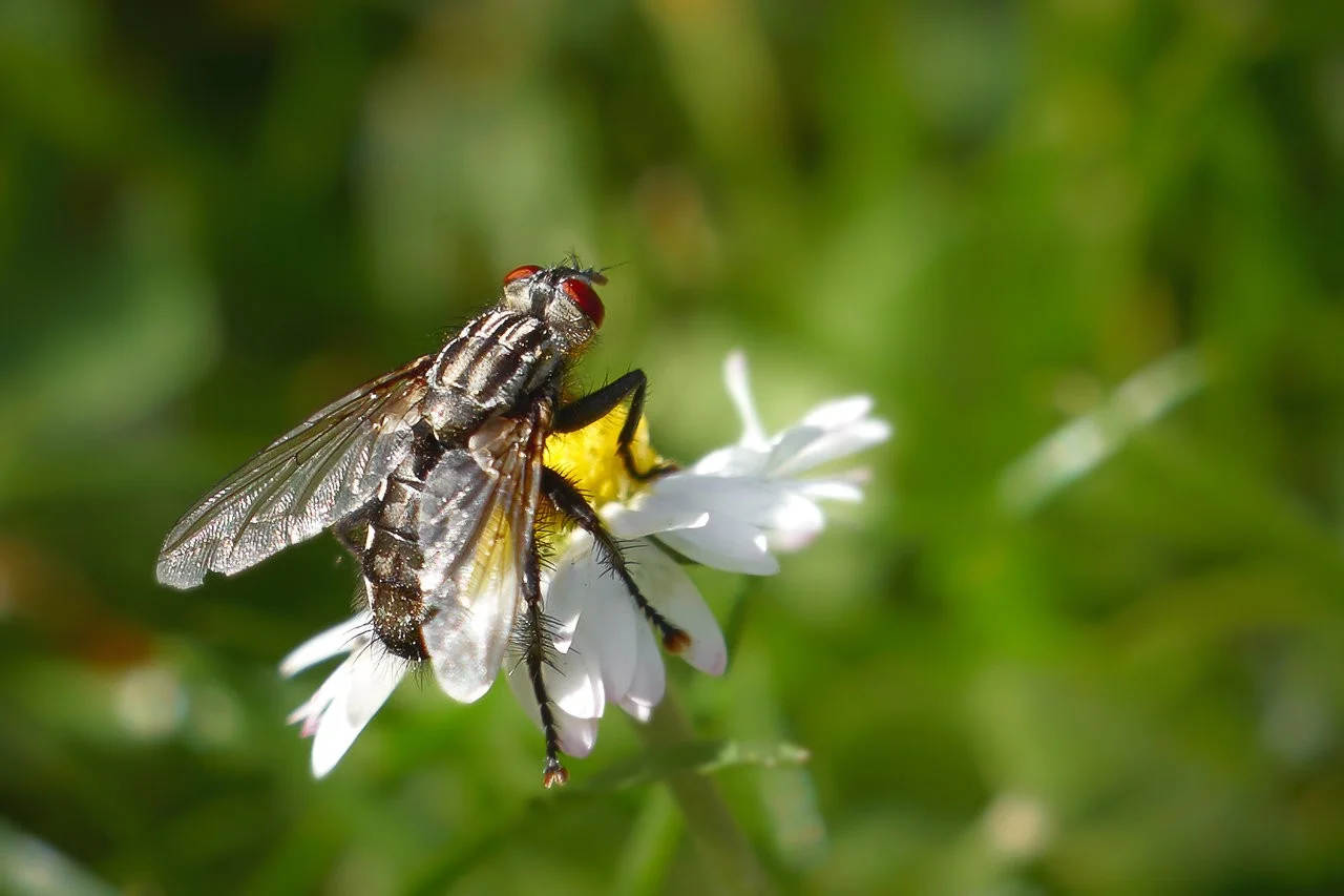 2019-04-25 033.1.webp