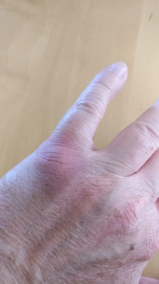 2019-07-04 15.30.43.webp