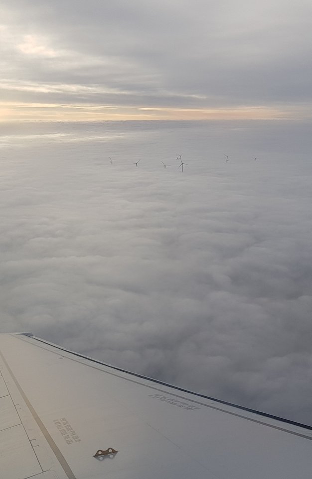 20190106_110723~01.jpg