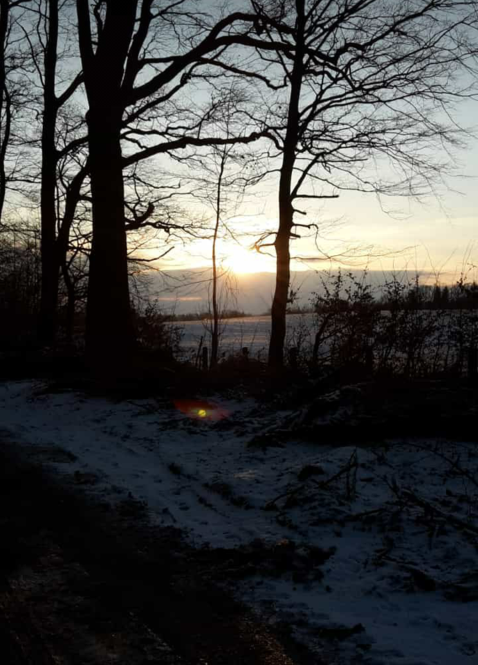 20190126_080740.png