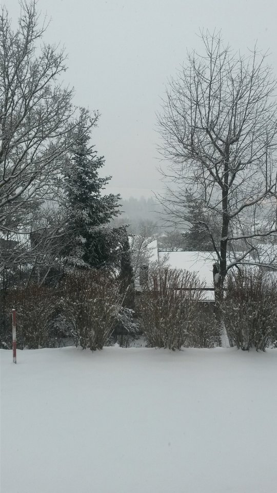 20190126_114544_resized.jpg