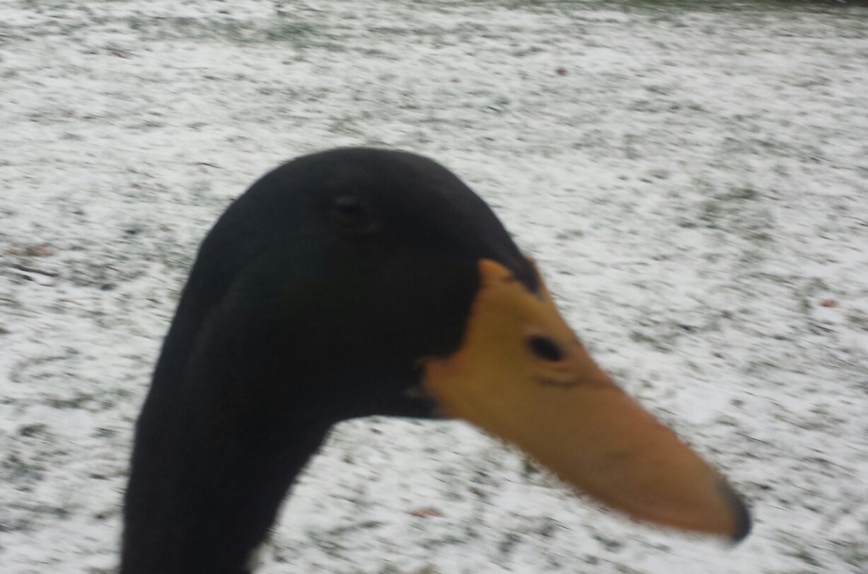 20190130_062929.jpg