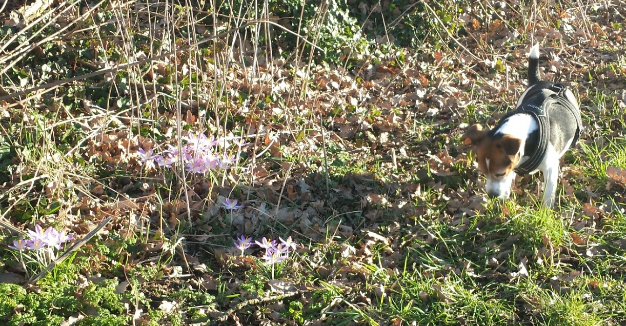20190220_062725.jpg