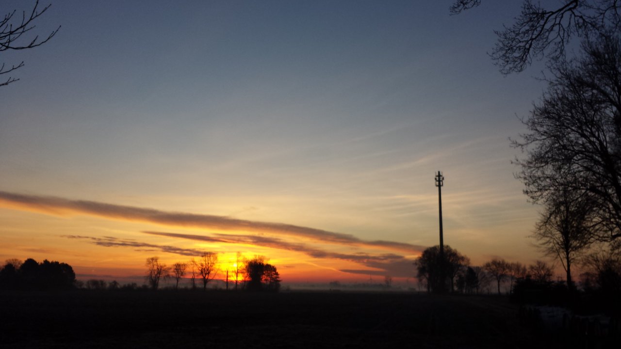 20190226_072436.jpg