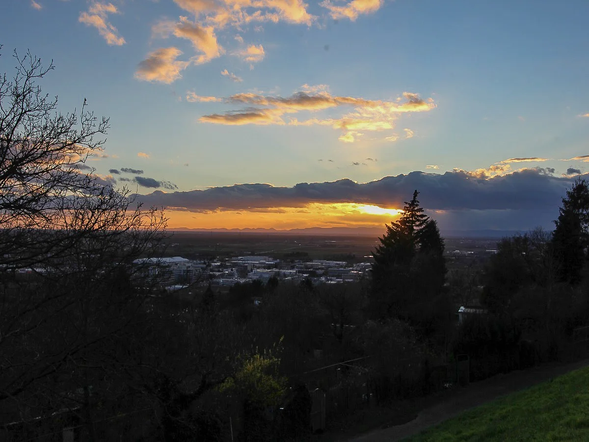 20190311-11032019 007.webp