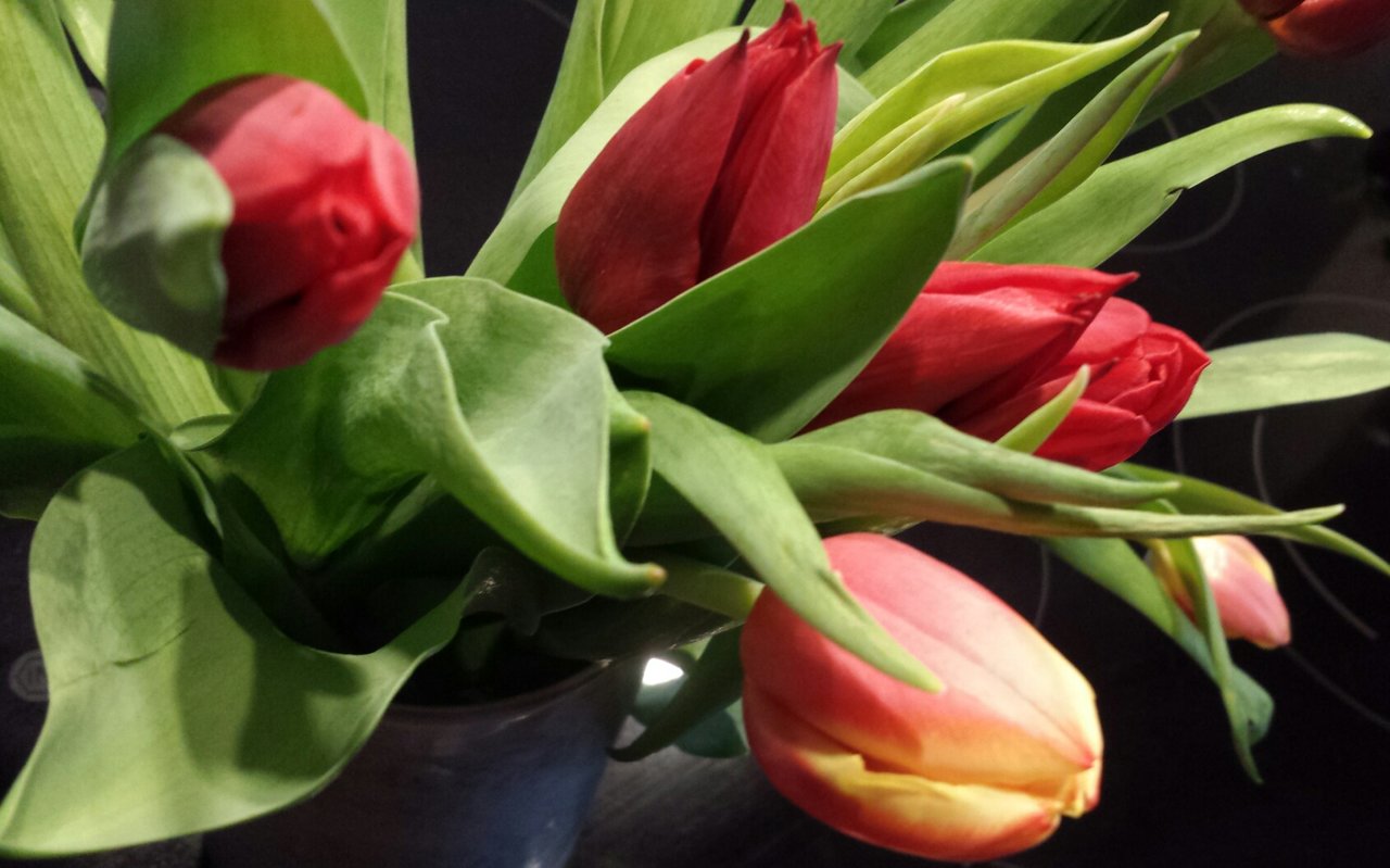 20190326_064015.jpg