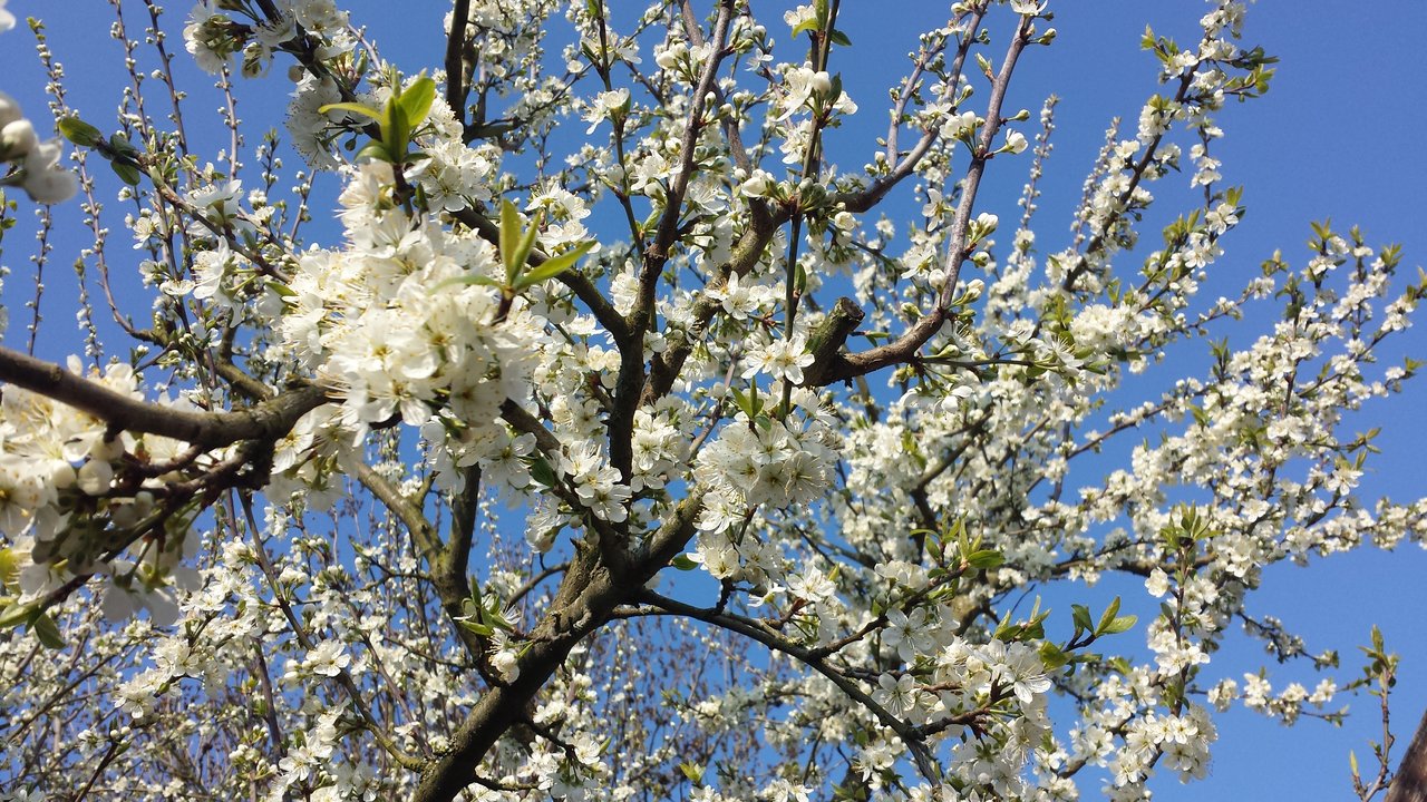 20190414_100341.jpg