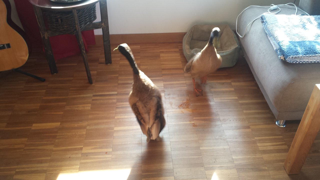 20190417_173623.jpg