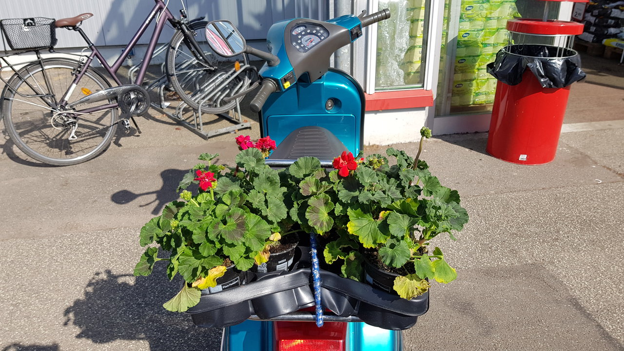 20190424_160830.jpg