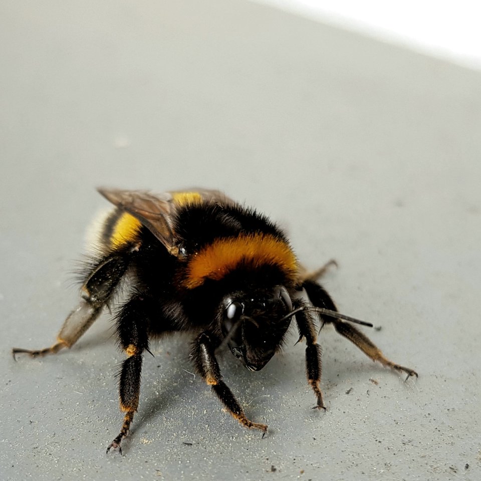 2019050516361300.jpg
