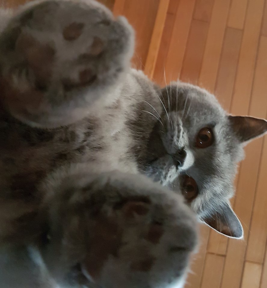 20190510_180913.jpg