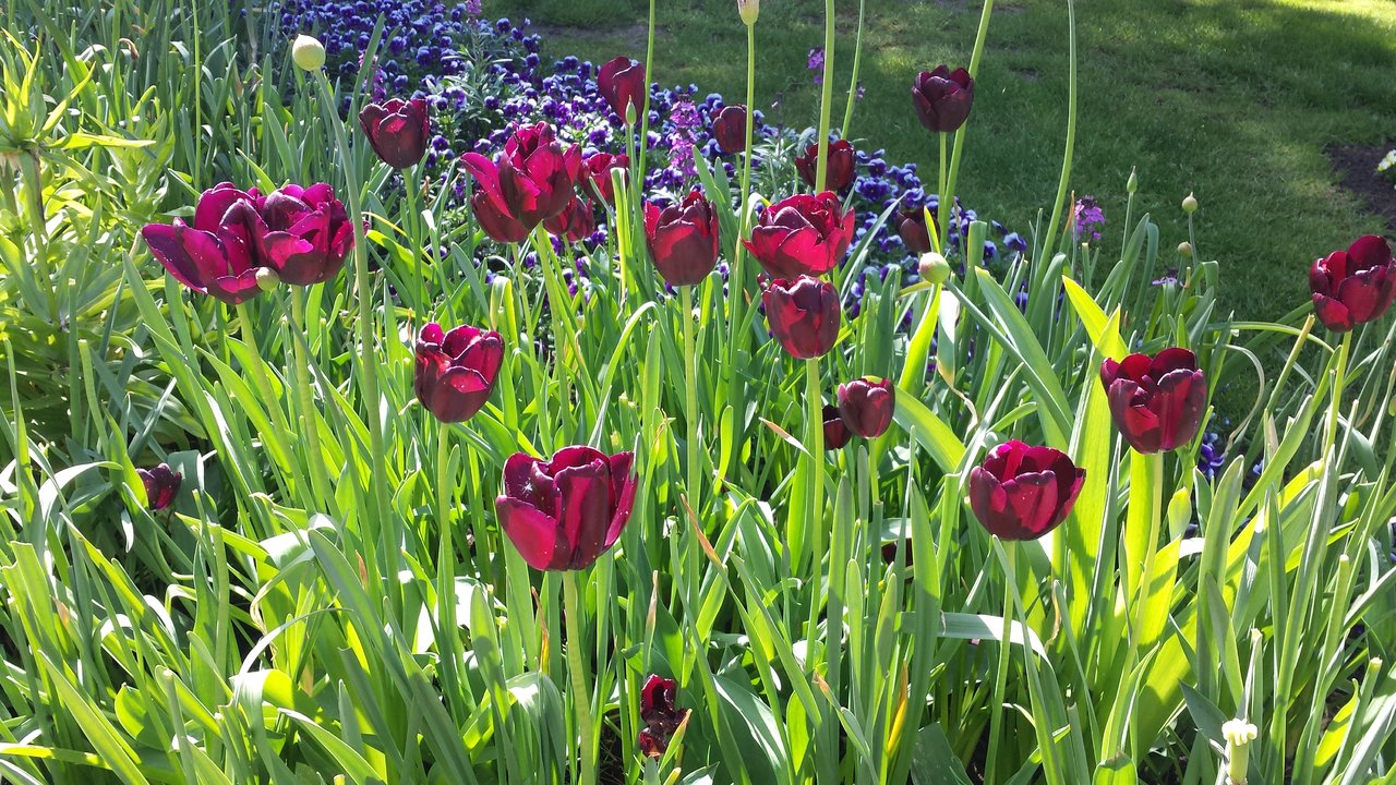 20190511_134415.jpg