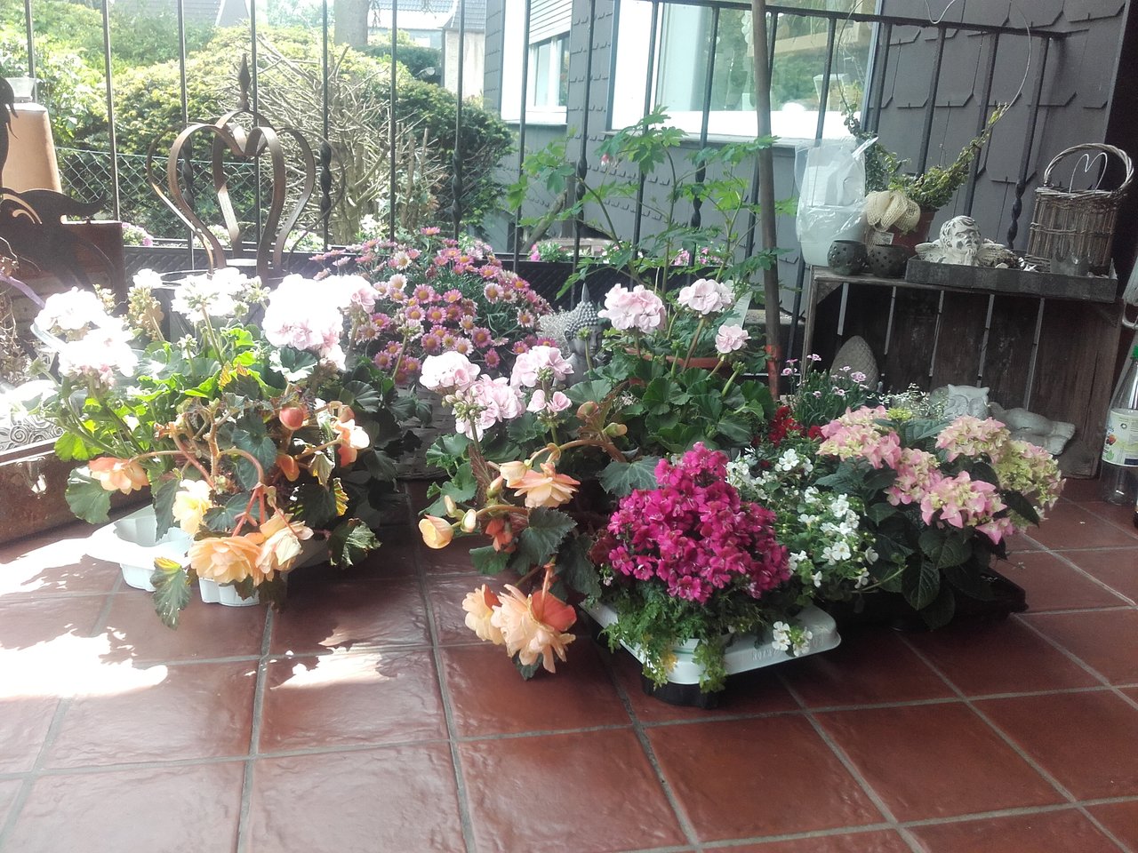 20190519_134231.jpg