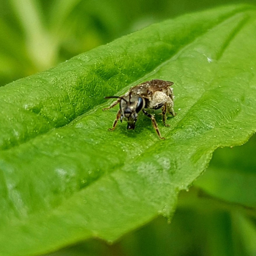 20190520_234515.jpg