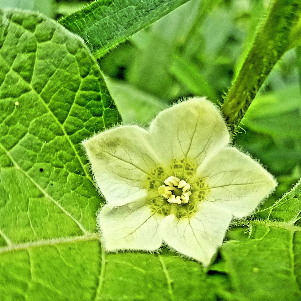20190531_115513.jpg