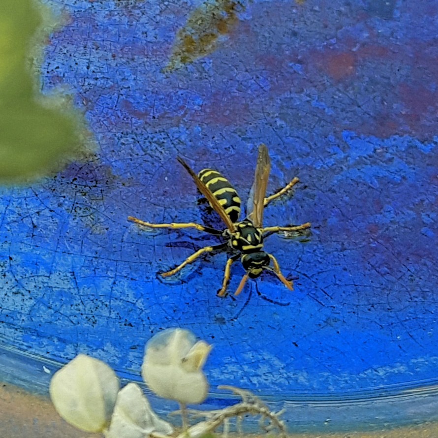 20190602_202012.jpg
