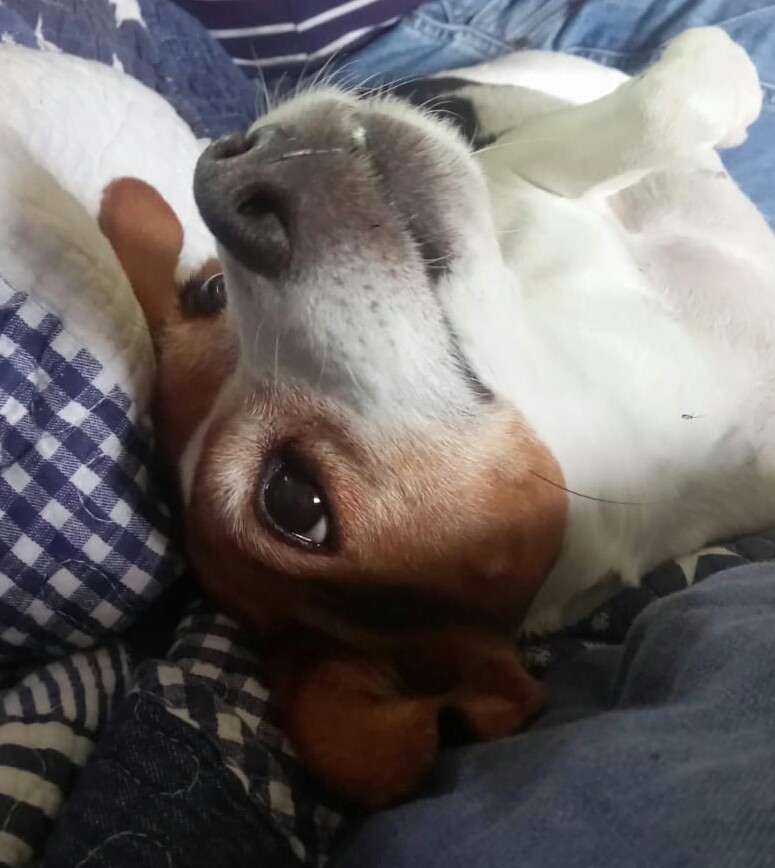 20190605_065010.jpg