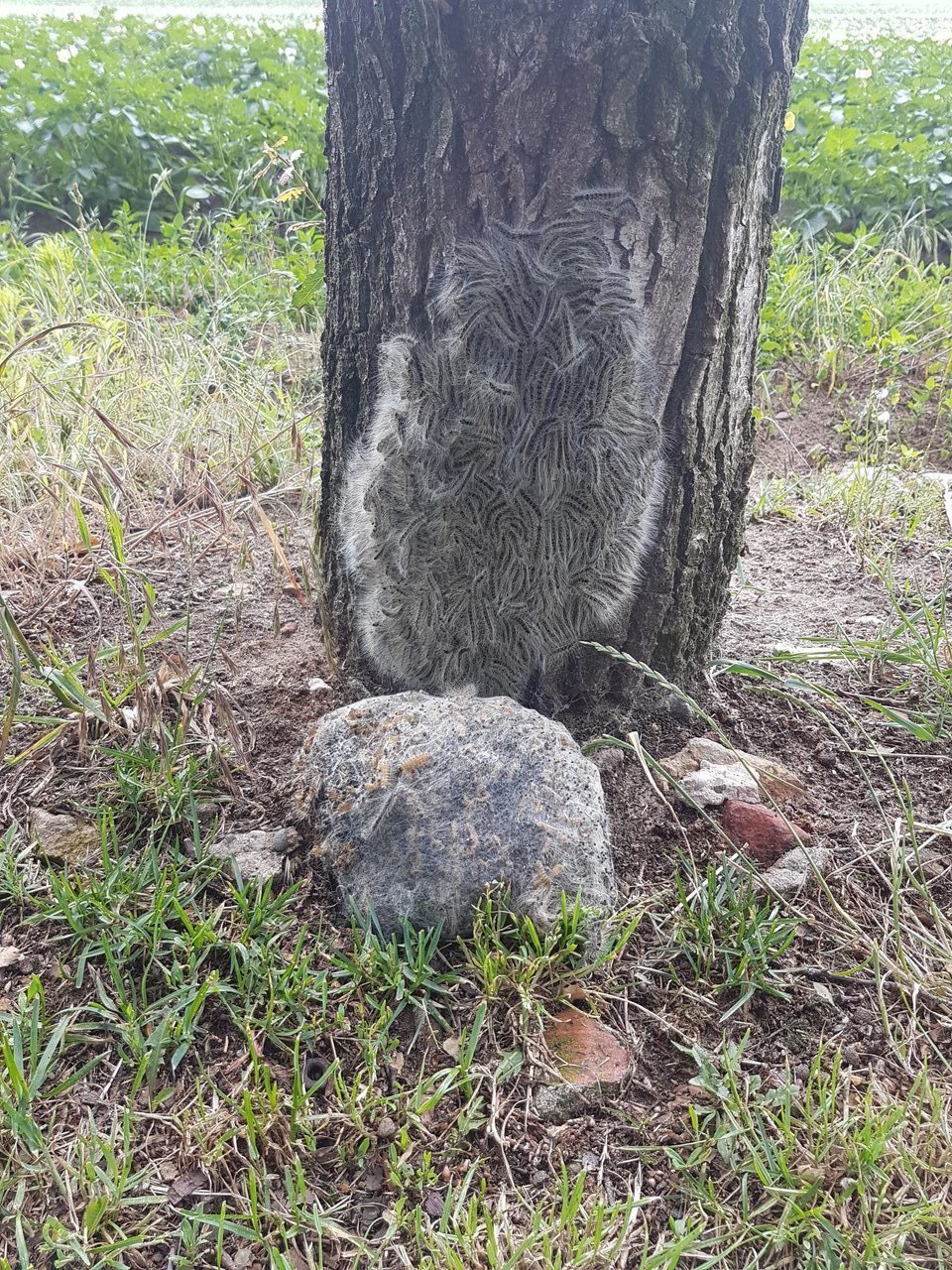 20190611_170511.jpg