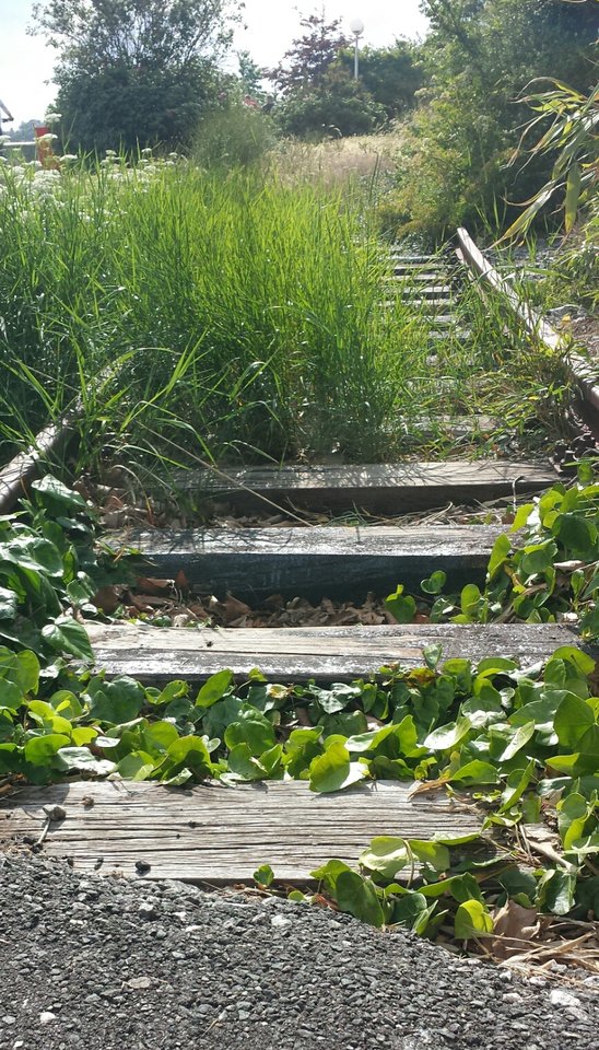 20190612_063618.jpg