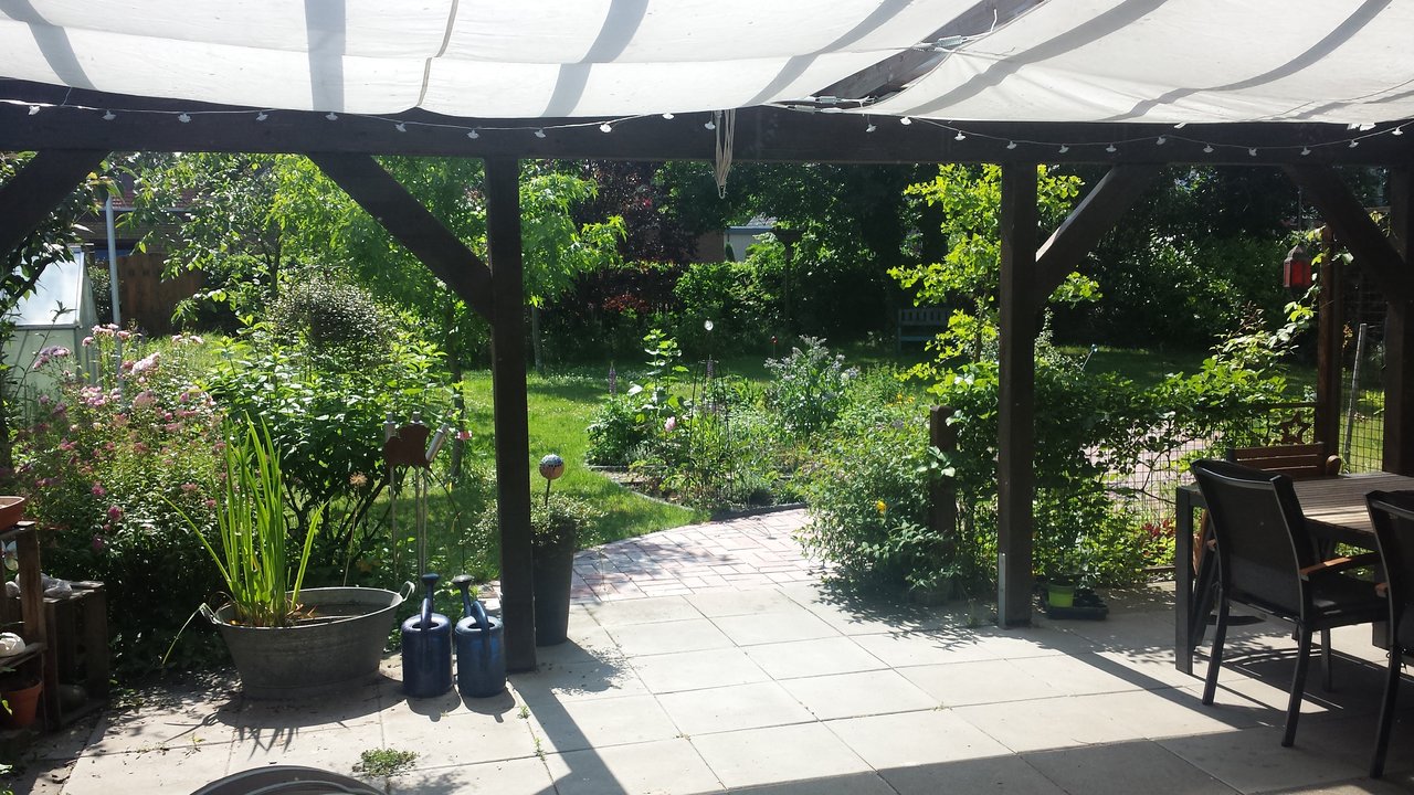 20190621_155734.jpg