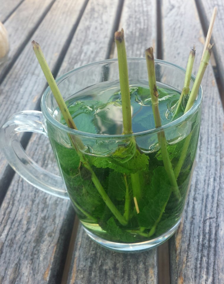 20190625_070707.jpg