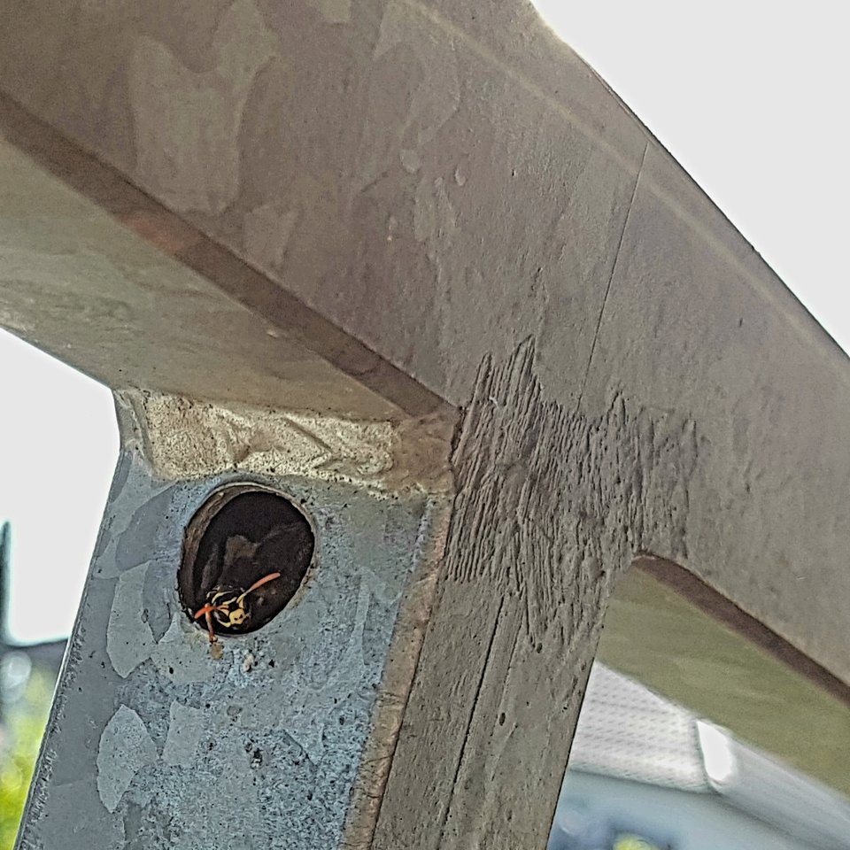 20190702_174856.jpg