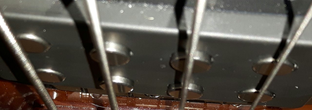 20190705_202014.jpg