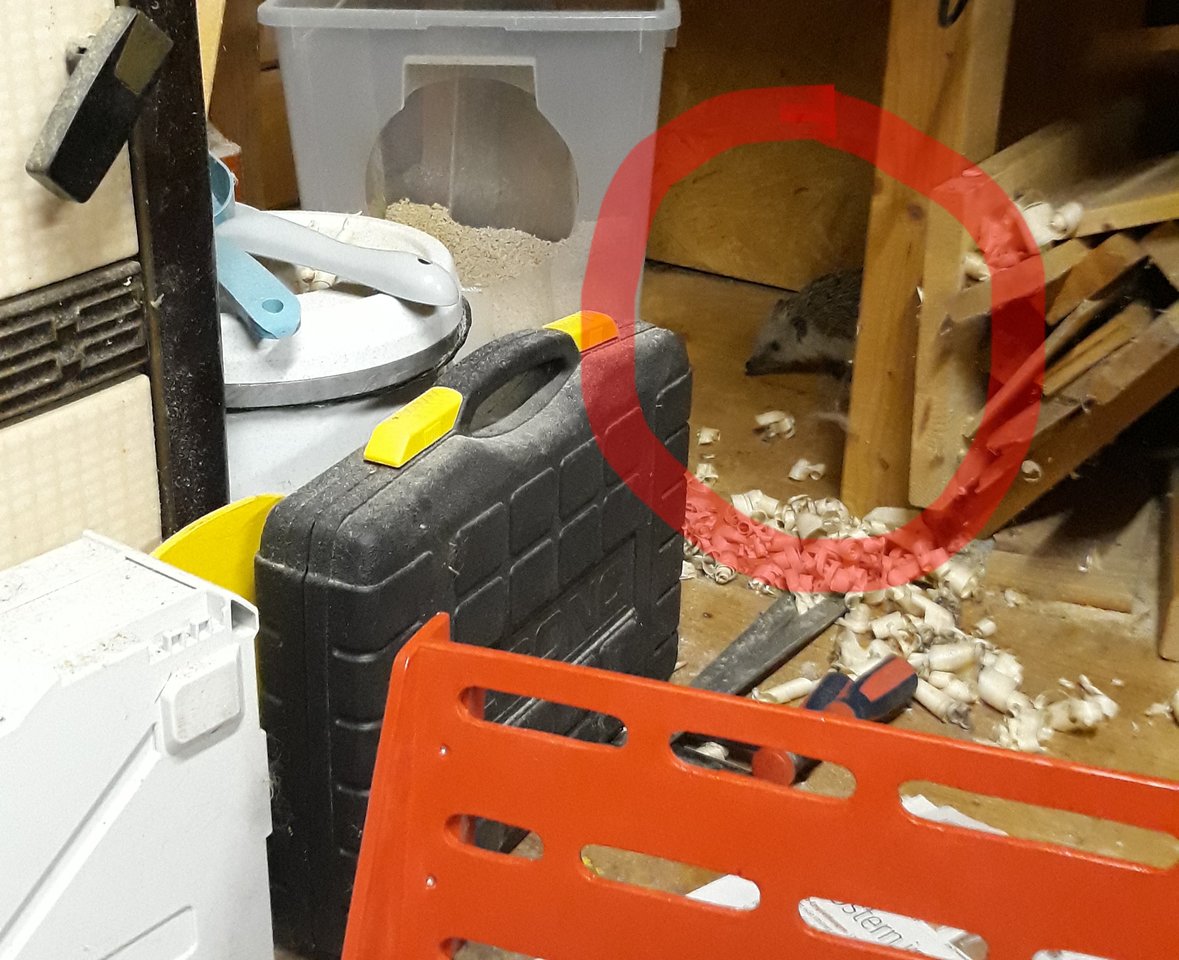 20190714_220208.jpg