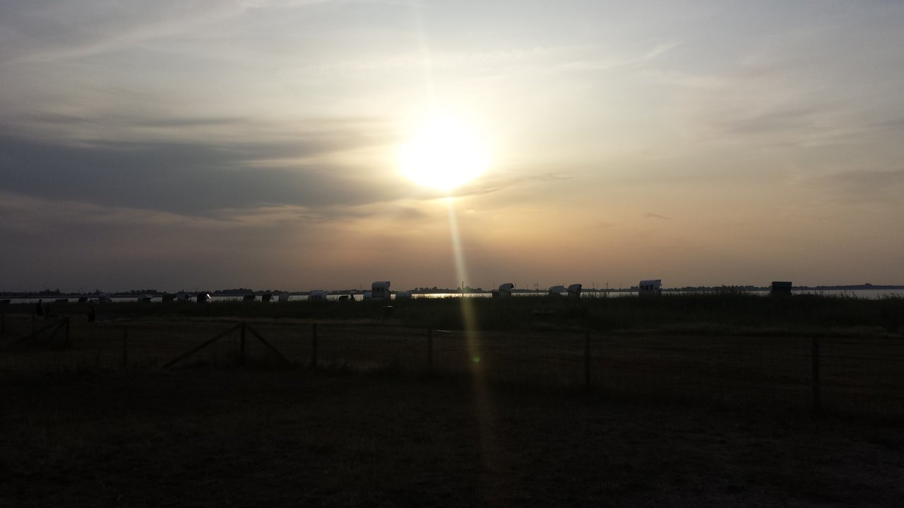 20190725_203123.jpg