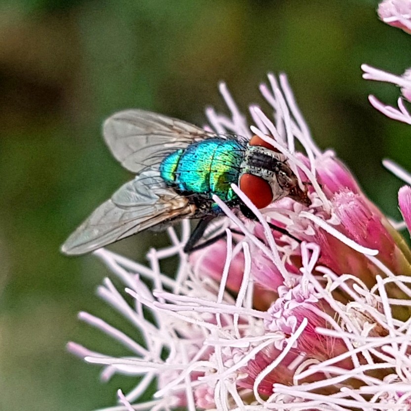 20190803_172641.jpg