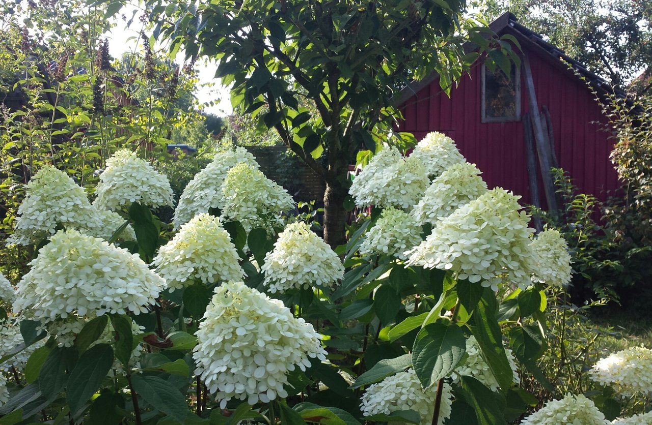 20190812_090031.jpg